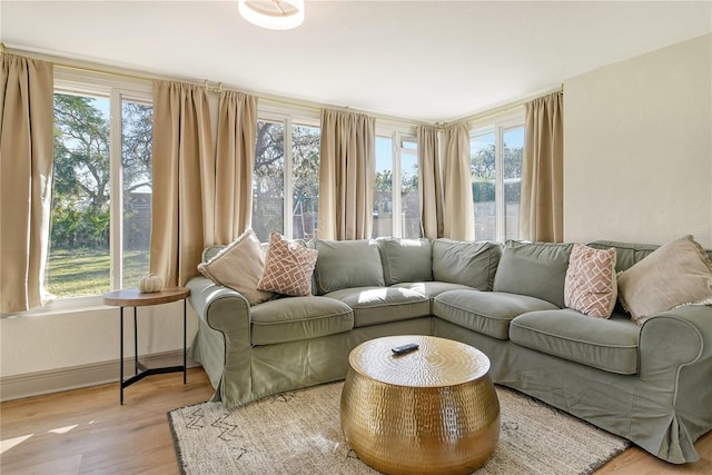 living room with light hardwood / wood-style flooring