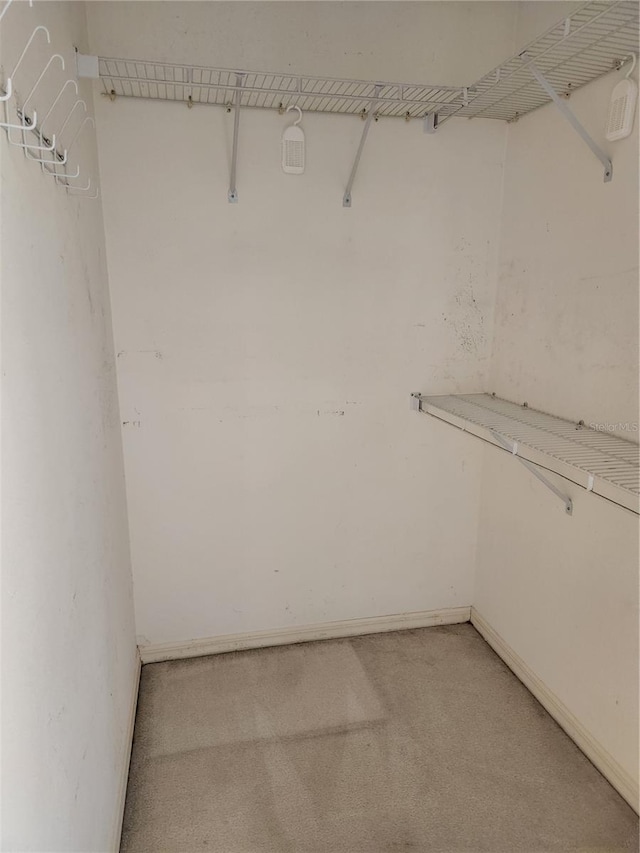 walk in closet with light carpet