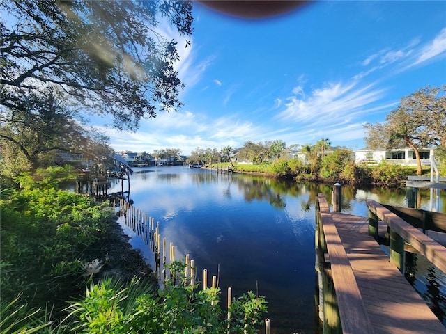 dock area with a water view