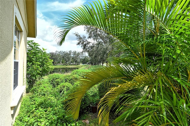 view of yard with a water view