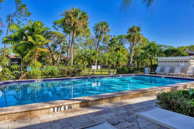 view of swimming pool featuring a patio area