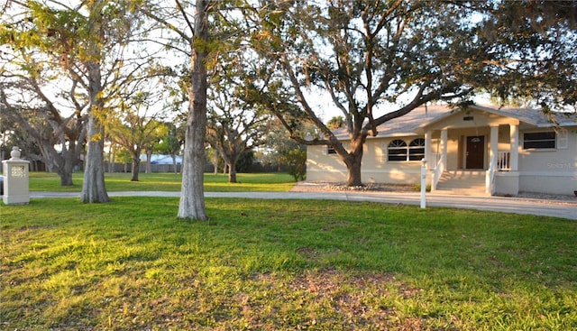 view of yard