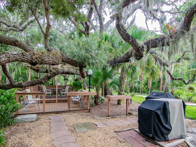 view of patio / terrace with grilling area and a wooden deck