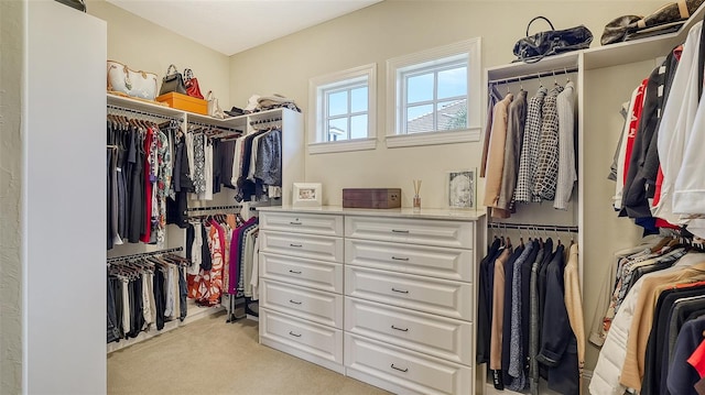 walk in closet featuring light carpet