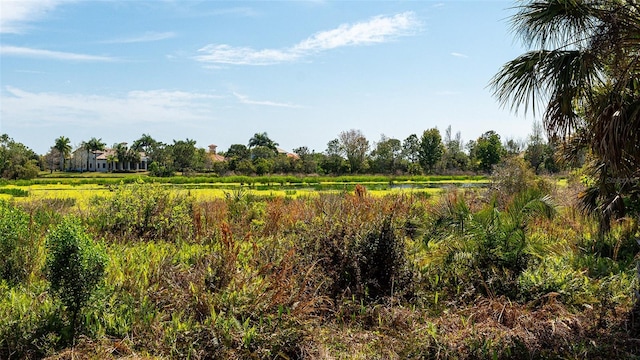 view of landscape featuring a rural view