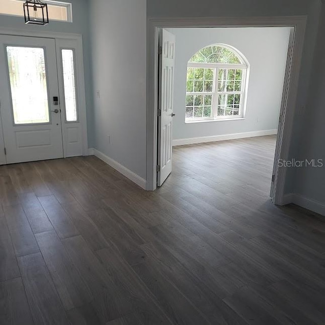 foyer with dark wood-type flooring