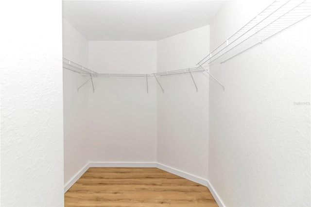 spacious closet with hardwood / wood-style floors