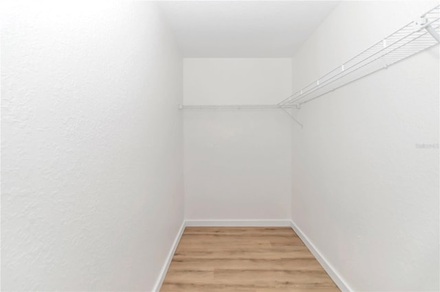 walk in closet with hardwood / wood-style floors