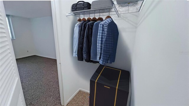 walk in closet featuring carpet