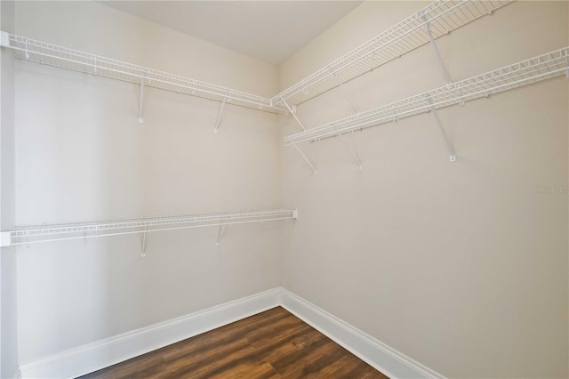 walk in closet featuring dark hardwood / wood-style flooring