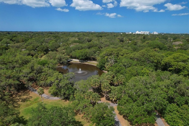 drone / aerial view with a wooded view and a water view