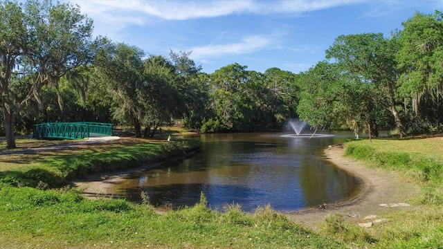 property view of water