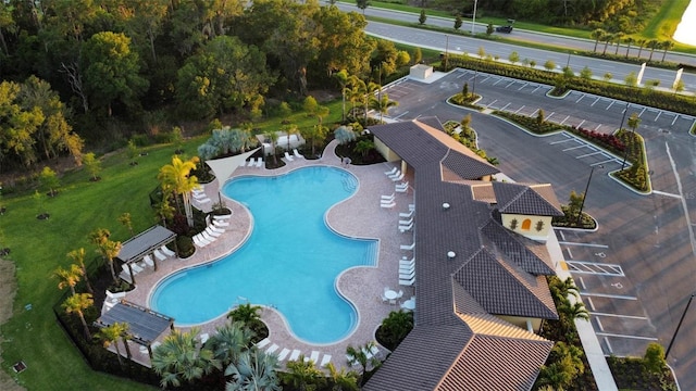 view of pool featuring a patio