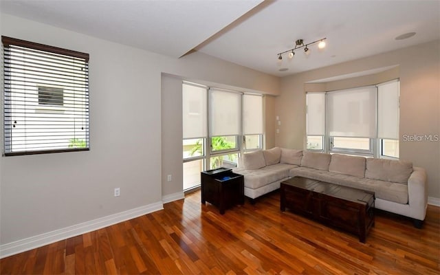 living room with dark hardwood / wood-style flooring