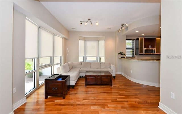 living room featuring baseboards and wood finished floors
