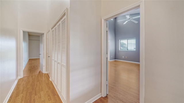 hall featuring light hardwood / wood-style floors