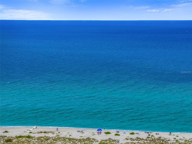 water view featuring a beach view