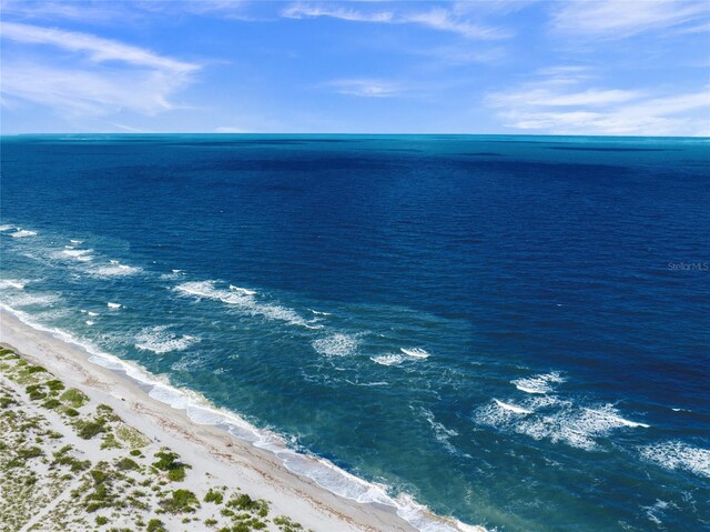 property view of water with a beach view