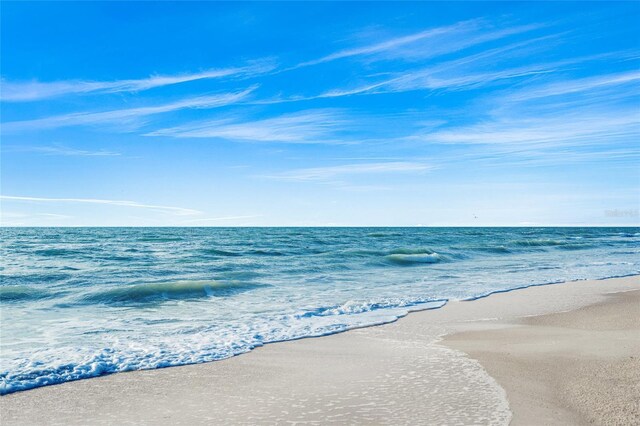 water view featuring a beach view