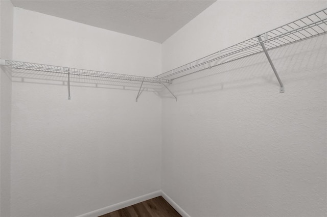 walk in closet with hardwood / wood-style flooring