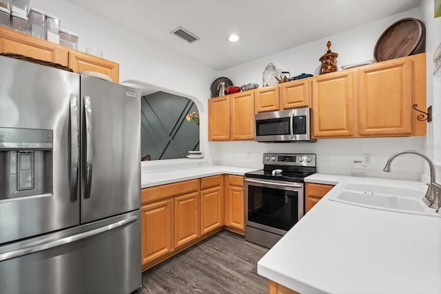 kitchen featuring stainless steel appliances, sink, and dark hardwood / wood-style floors