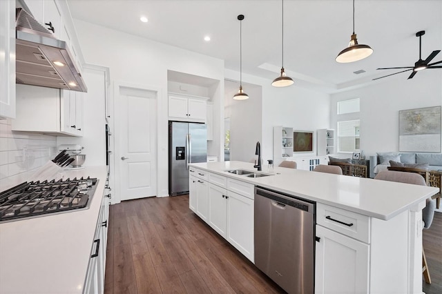 kitchen with a center island with sink, appliances with stainless steel finishes, white cabinetry, range hood, and sink