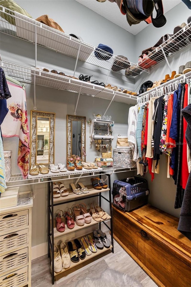 walk in closet with hardwood / wood-style flooring