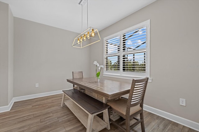 dining room featuring hardwood / wood-style flooring