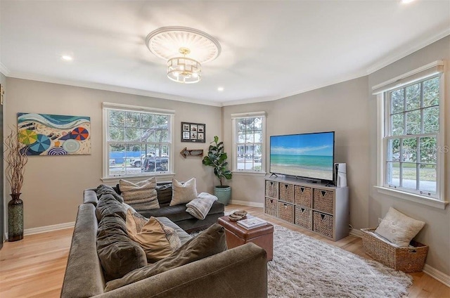 living room featuring light hardwood / wood-style floors, crown molding, and plenty of natural light