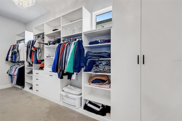 spacious closet with light colored carpet