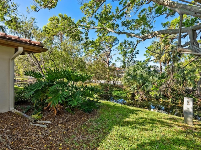 view of yard with a water view