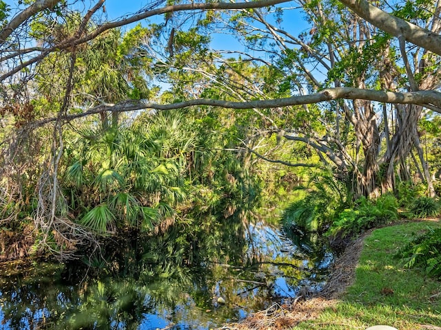 6417 Meadowlark Ln Unit 6417, Bradenton, FL 34210 - view of nature