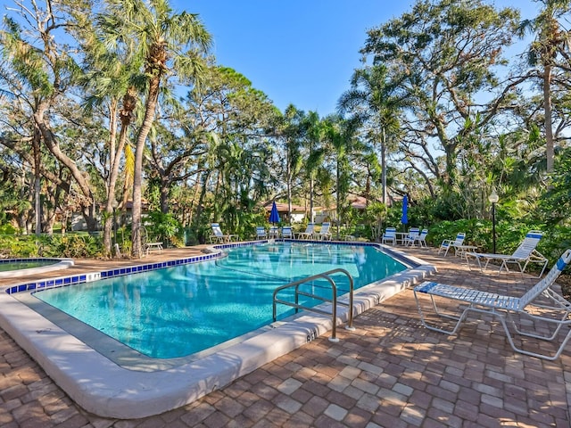 view of pool featuring a patio