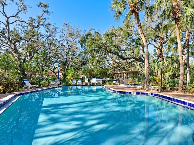 view of swimming pool