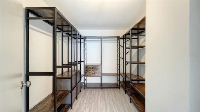 walk in closet with wood-type flooring