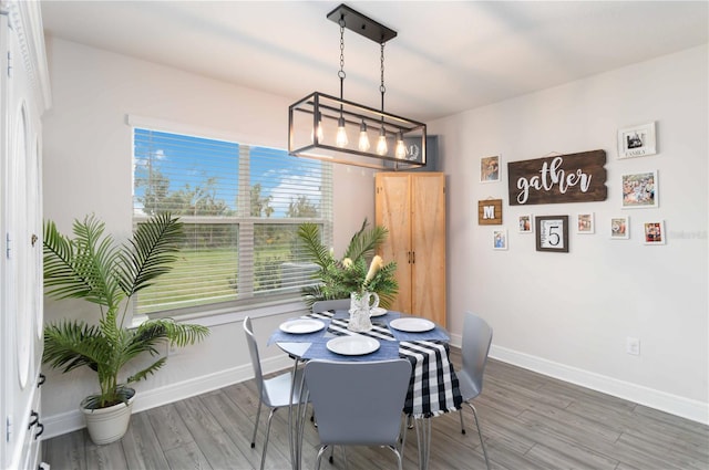 dining area featuring hardwood / wood-style floors