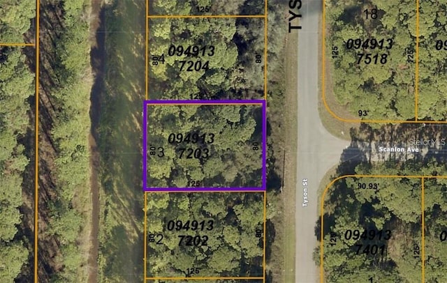 Tyson St Lot 3, North Port FL, 34291 land for sale