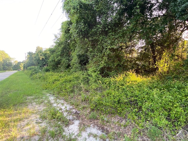 Listing photo 3 for Tyson St Lot 3, North Port FL 34291