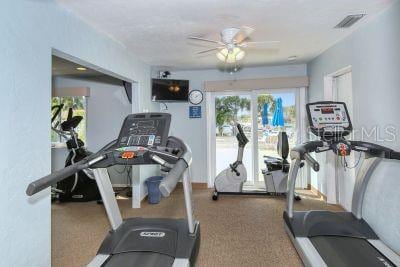 workout area with carpet and ceiling fan