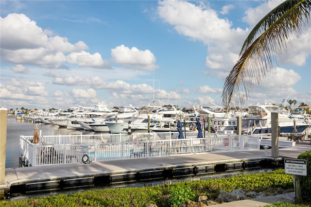 dock area with a community pool and a water view