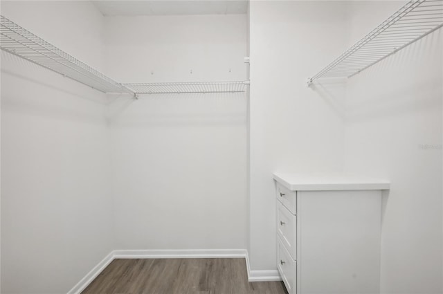 spacious closet with wood-type flooring