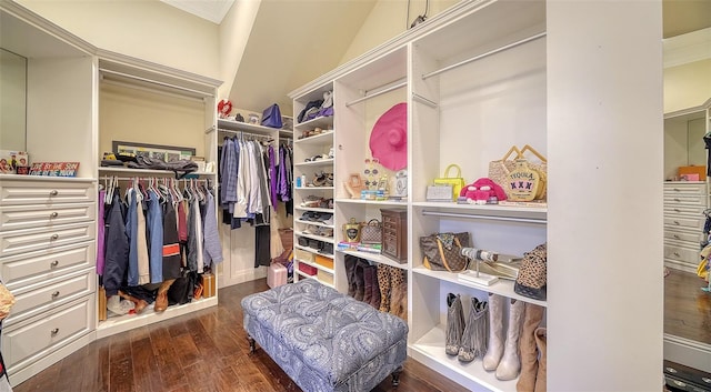 spacious closet with dark wood-type flooring