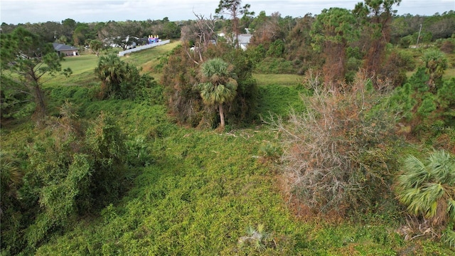 Listing photo 3 for Constitution Dr, North Port FL 34291