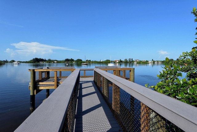 dock area with a water view