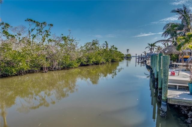 water view featuring a dock