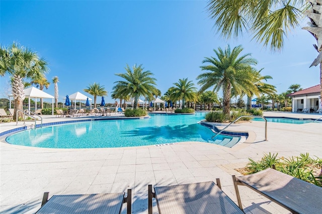 view of pool featuring a patio area