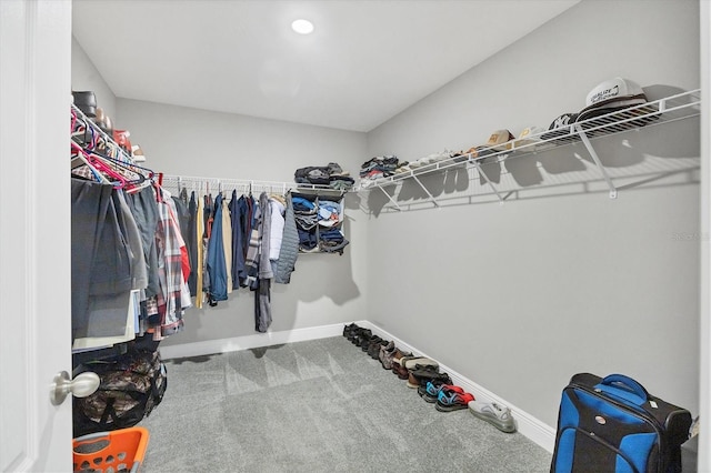 spacious closet featuring carpet flooring