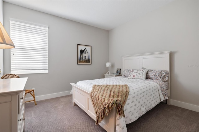 carpeted bedroom with multiple windows