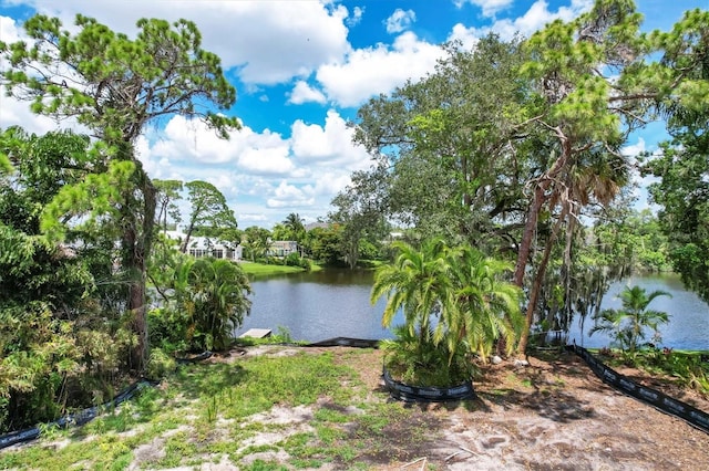 view of water feature