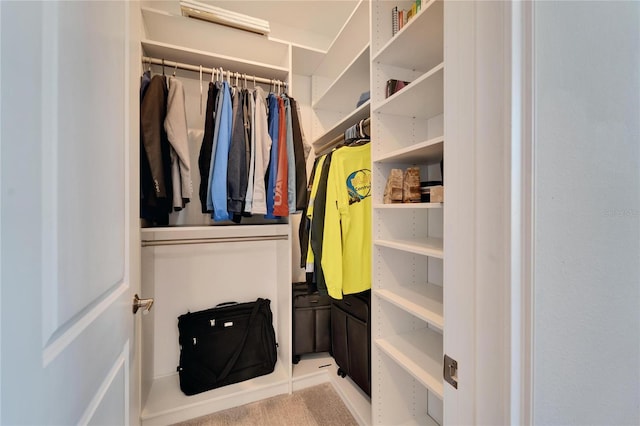 spacious closet with light colored carpet